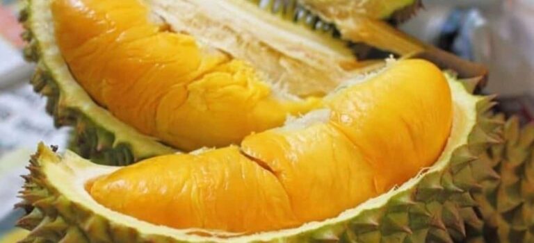 Yang Harus Anda Ketahui Tentang Buah Durian Sultan